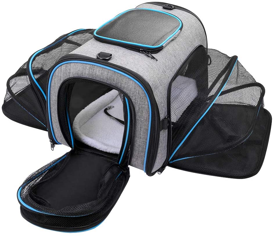 cat travel carrier case