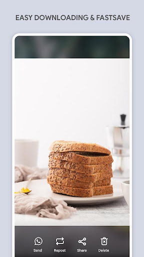 WhatSaver - Download videos, images for Whatsapp