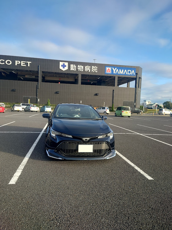 カローラスポーツのいつもいいね＆コメントありがとうございます・時差ボケ投稿・寒くなりましたね😨に関するカスタム事例の投稿画像3枚目