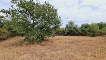 terrain à Deaux (30)