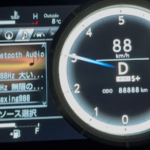 IS GSE31