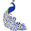 Peacock Backgrounds HD Custom Peafowl New Tab