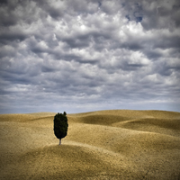 Crete senesi di Samuele Tronchi