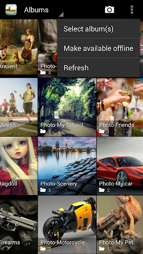 Photo Gallery Editor