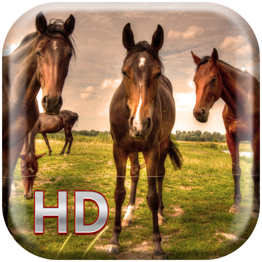 Horses Live Wallpaper HD 攝影 App LOGO-APP開箱王