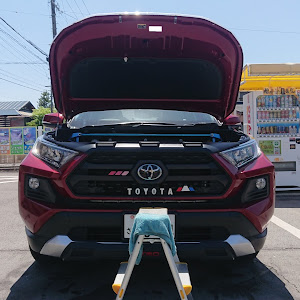 RAV4 MXAA54