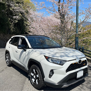 RAV4 MXAA54