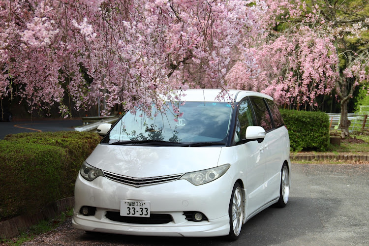 エスティマのゴールデンウィーク・GW・朝日夕日コラボ・サクラと愛車・セナの命日に関するカスタム事例の投稿画像4枚目