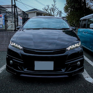 ウィッシュ