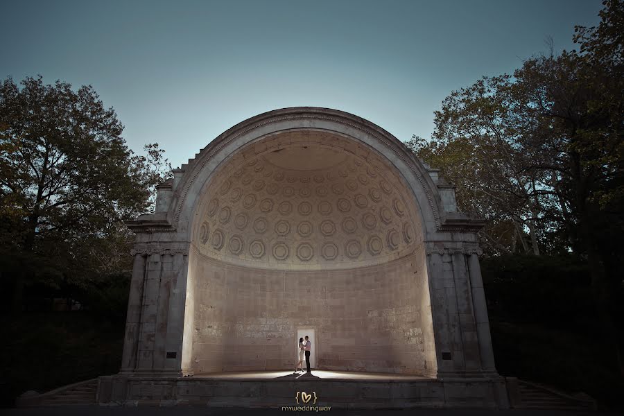 Photographe de mariage Alex Logaiski (alexlogaiski). Photo du 17 janvier 2015