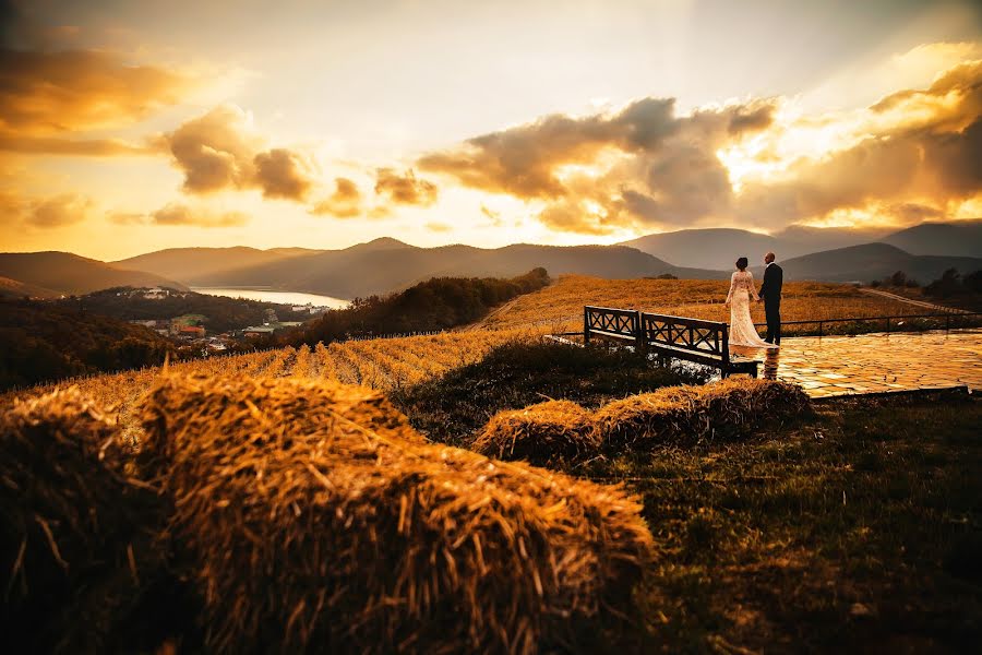 Fotografo di matrimoni Artem Kolomiec (colomba). Foto del 1 novembre 2017