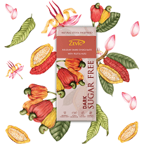 Zevic Sugar Free Fruit And Nuts Chocolate - 40 gm