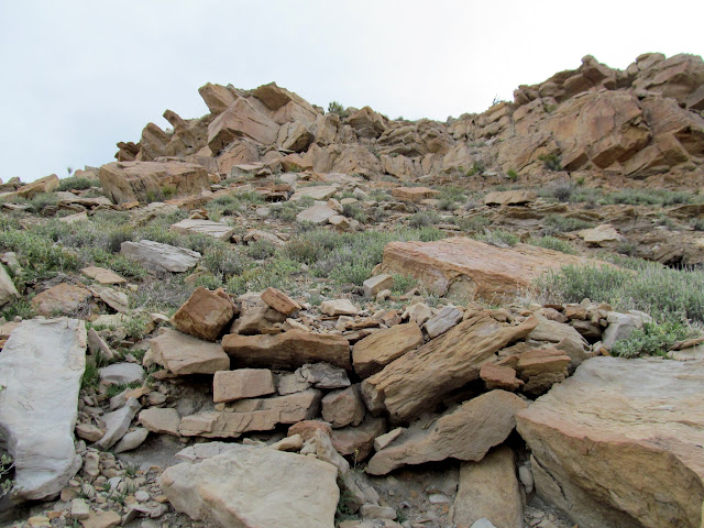 Cribbing on the upper trail