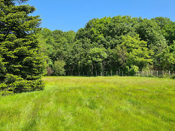 terrain à Nangis (77)