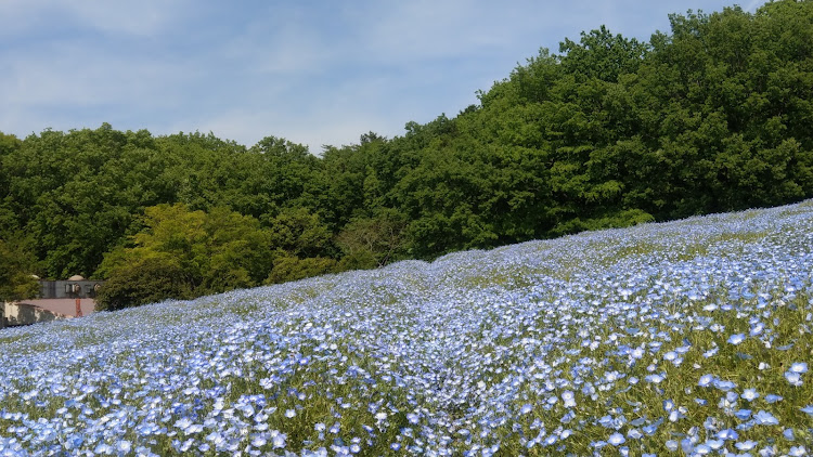 の投稿画像3枚目