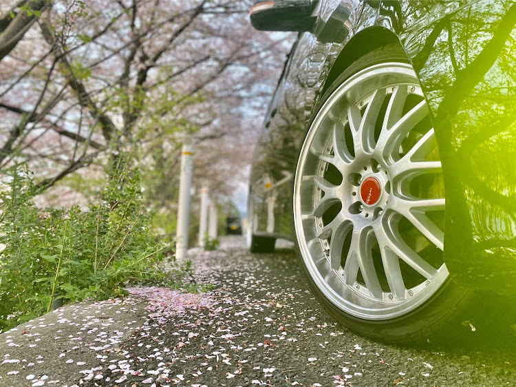 エスティマのE-Prominence・Masa♂Style・桜とコラボ・映えない愛車・鬱に関するカスタム事例の投稿画像4枚目
