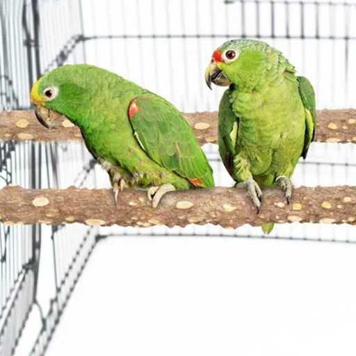 10/15/20cm Birds Accessories Grinding stick standing stick Parrots Tree Branch Cage Stand Rack Perches Chew Bite Toys St