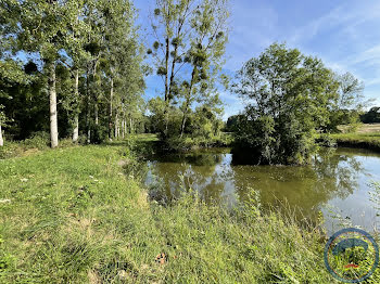 terrain à Tauxigny (37)