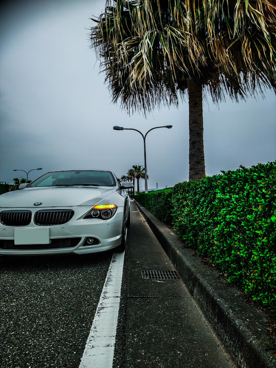 6シリーズの朝１は頭がまわらない・bmw・🐕・愛ランド🎵・夢の国に関するカスタム事例の投稿画像1枚目