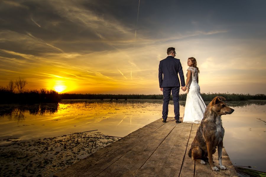 Fotógrafo de bodas Mocanu Cristian (grafixstudio). Foto del 29 de septiembre 2015