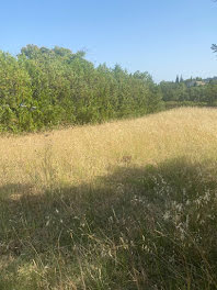 terrain à Lézignan-la-Cèbe (34)