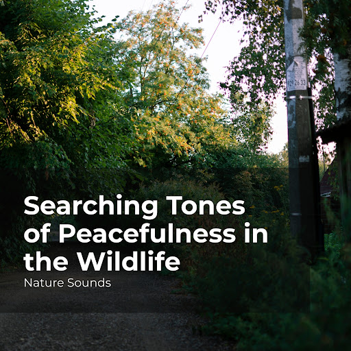 Reading Calms The Mind