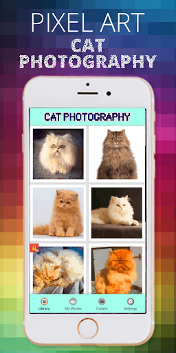 Cat Photography Pixel Coloring By Number