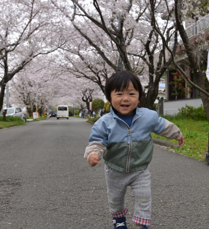 の投稿画像4枚目