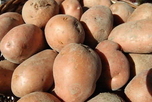 Krompir u Srbiji od prošle godine skuplji 193 odsto, uvoz velikih količina iz Francuske