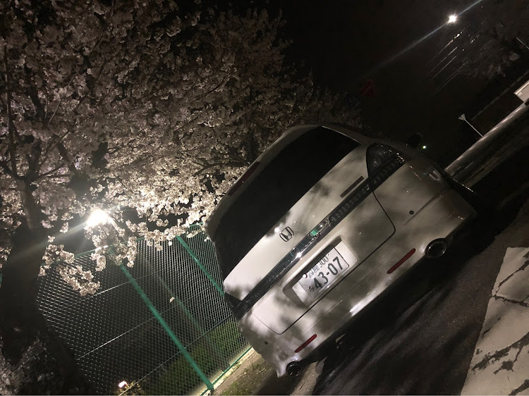 オデッセイの桜とコラボ・夜桜・workwheelsjapan・WORK MEISTER M1R・ten-break.comに関するカスタム事例の投稿画像6枚目