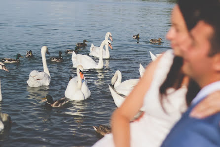 Vestuvių fotografas Eszter Péter-Tóth (teszterfoto). Nuotrauka 2018 birželio 14