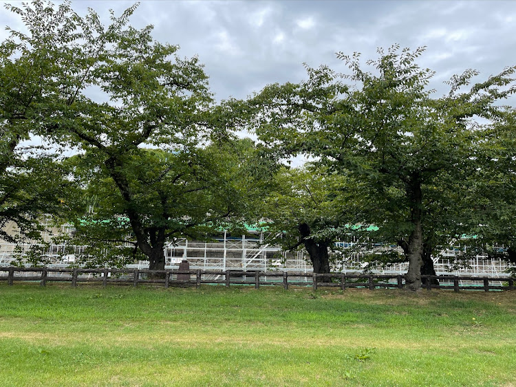 スイフトスポーツの奥入瀬渓流・北海道新幹線はやぶさ・北の大地・写真が多くてすみません・最後まで読んでくださりありがとうございます🙇に関するカスタム事例の投稿画像61枚目