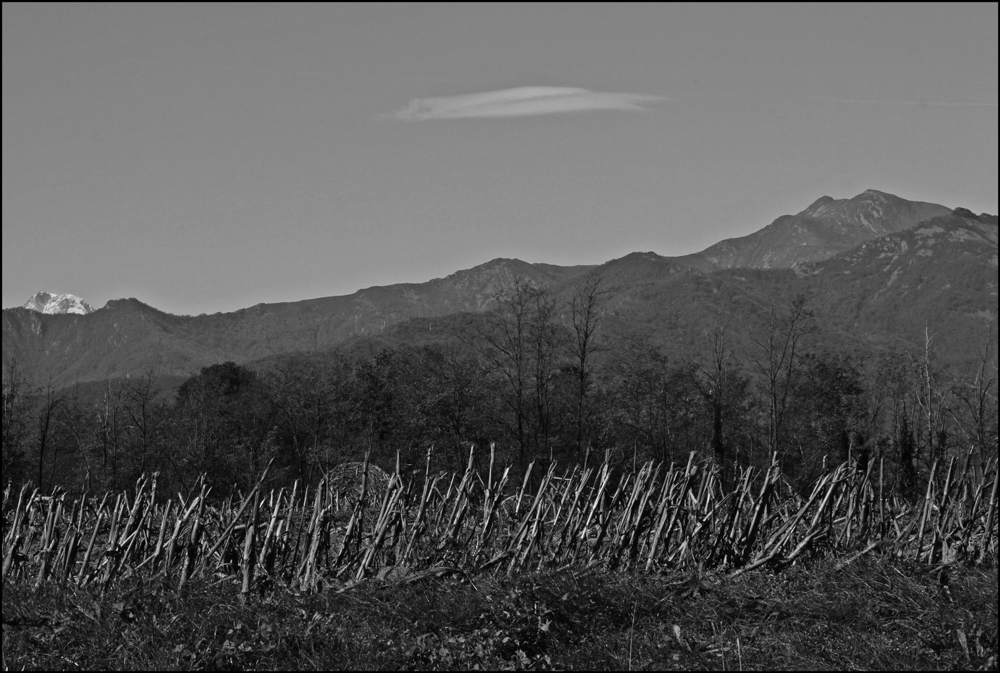 PIEDI....MONTE  di gian