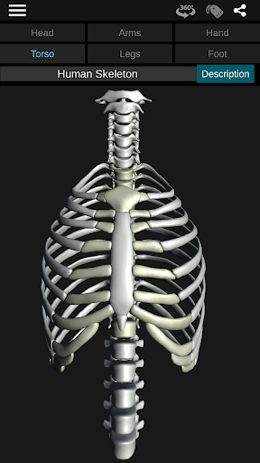 Screenshot Osseous System in 3D (Anatomy)