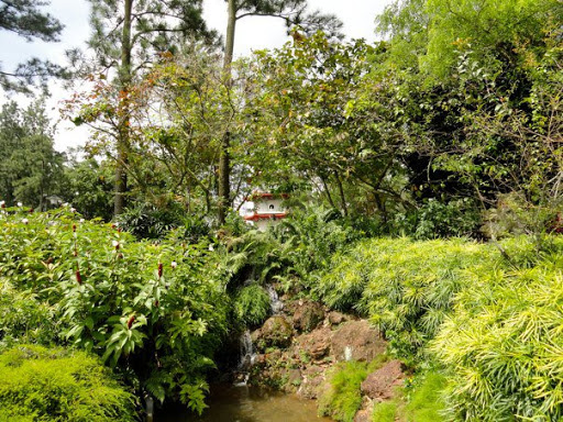 The Chinese Japanese Gardens Singapore2010