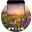 Theme for Neo 3 HD Download on Windows