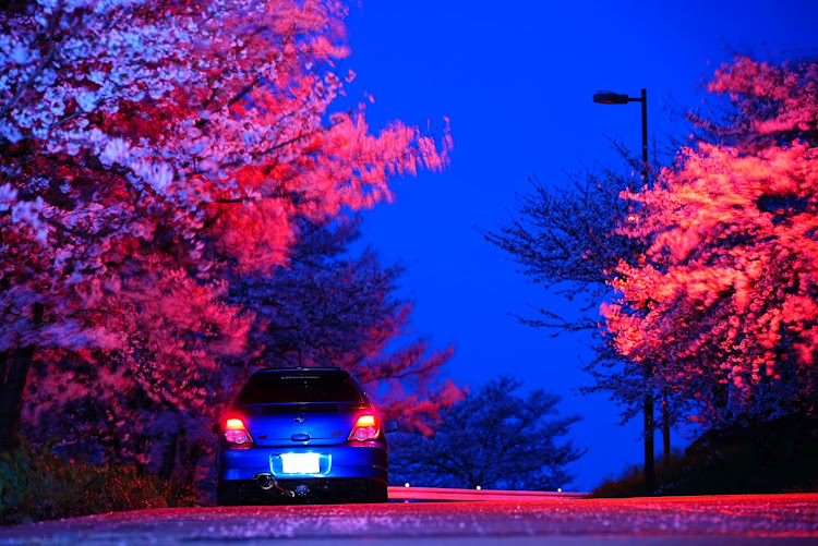 エクシーガの目指せPickUpCars・桜とコラボ・桜・サクラと愛車・夜桜に関するカスタム事例の投稿画像11枚目