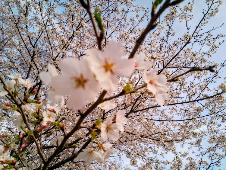 の投稿画像14枚目