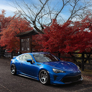 BRZ ZC6