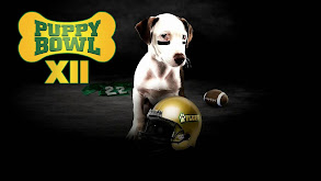 Puppy Bowl XII thumbnail