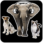 Cover Image of Download Animal Sounds 1.4 APK