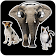 Animal Sounds icon