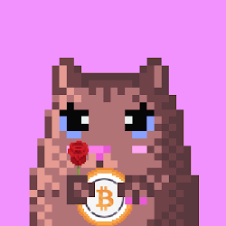 Cryptohamsters girl #1.1.2.227 Wrapped Bitcoin special edition #LE