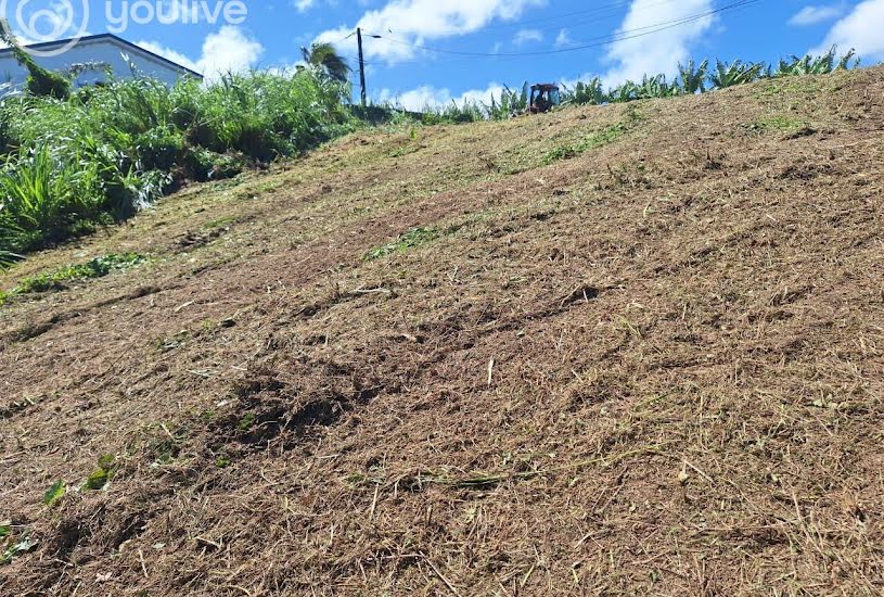  Vente Terrain à bâtir - à Le Lorrain (97214) 