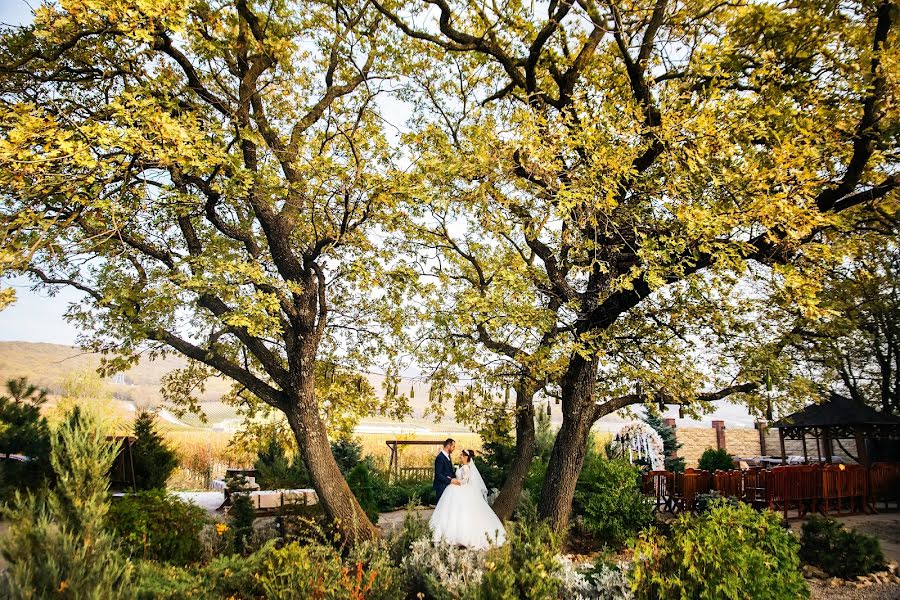 Wedding photographer Artem Kolomiec (colomba). Photo of 10 February 2020