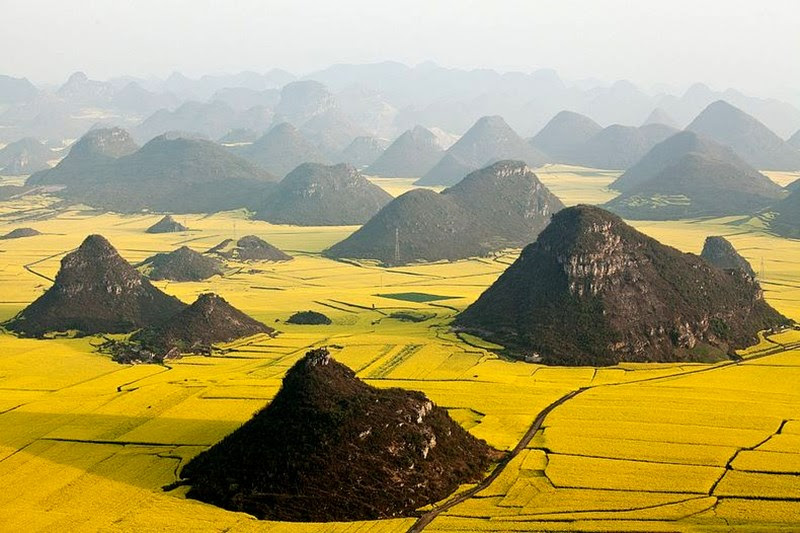 Os campos de canola em Luoping, China