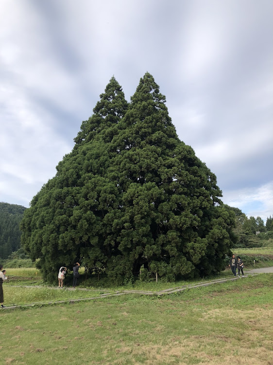 の投稿画像2枚目