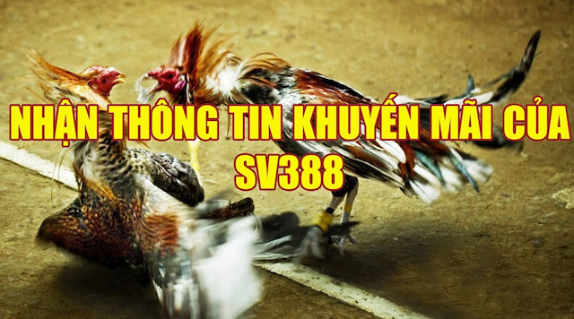 Cách lấy khuyến mãi sv388