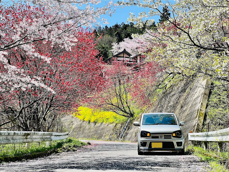 の投稿画像14枚目