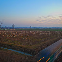 Tranquillità bucolica e velocità moderna. di 